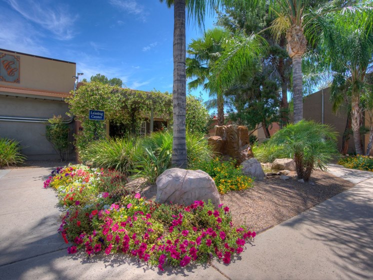 Landscaping at Copper Creek in Tucson, AZ
